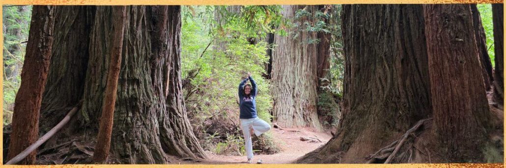 Hier ist Kristin Palm zu sehen, die über ihre langjährige Arbeit als Physiotherapeutin, ihre Leidenschaft für Yoga und Meditation sowie ihre heutige Tätigkeit als Spiritual Life Coach spricht und ihre Mission beschreibt, Menschen zu mehr Kraft, Balance und innerer Stärke zu begleiten.“ Hier macht sie Yoga unter Sequoias.