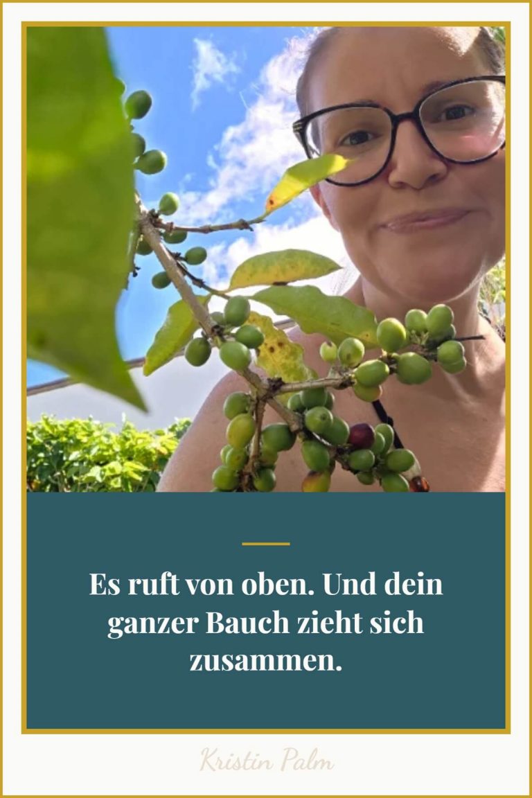 Nervensystem beruhigen bei Stress: Textgrafik mit dem Satz „Es ruft von oben. Und dein ganzer Bauch zieht sich zusammen."